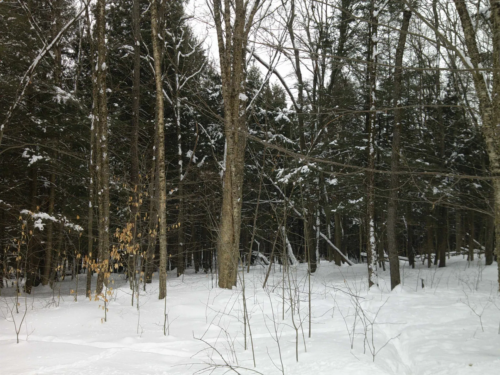 0 Plot Road Johnson VT 05656