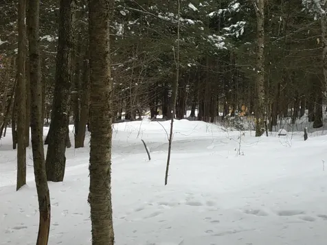 0 Plot Road Johnson VT 05656