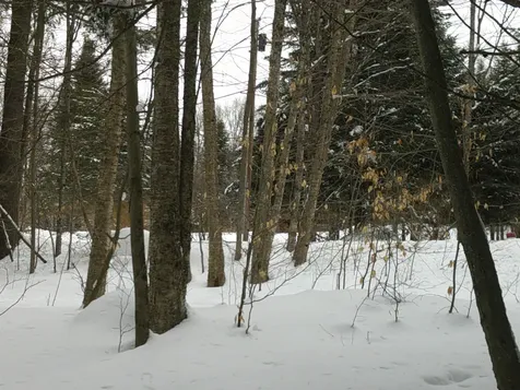 0 Plot Road Johnson VT 05656