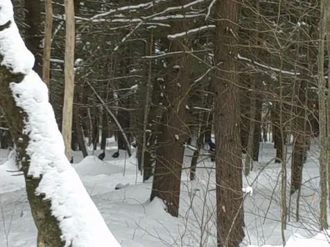 0 Plot Road Johnson VT 05656