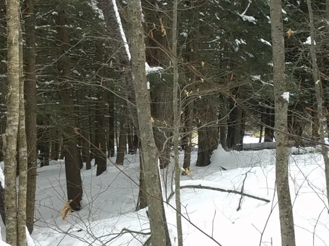 0 Plot Road Johnson VT 05656