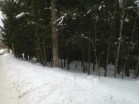 0 Plot Road Johnson VT 05656