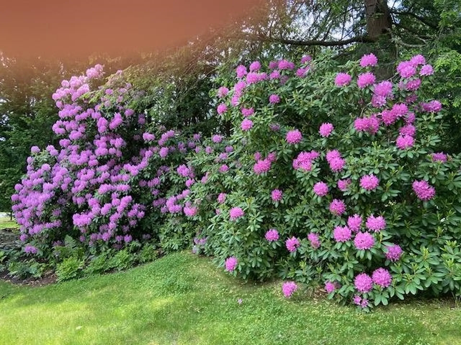 15 Prentiss Way Exeter NH 03833