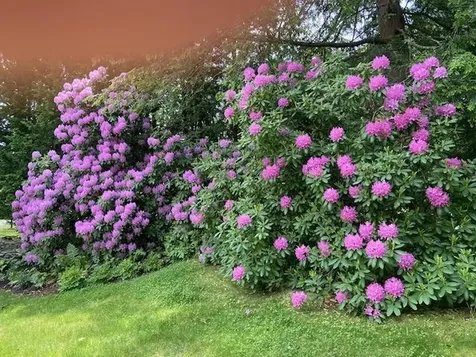 15 Prentiss Way Exeter NH 03833