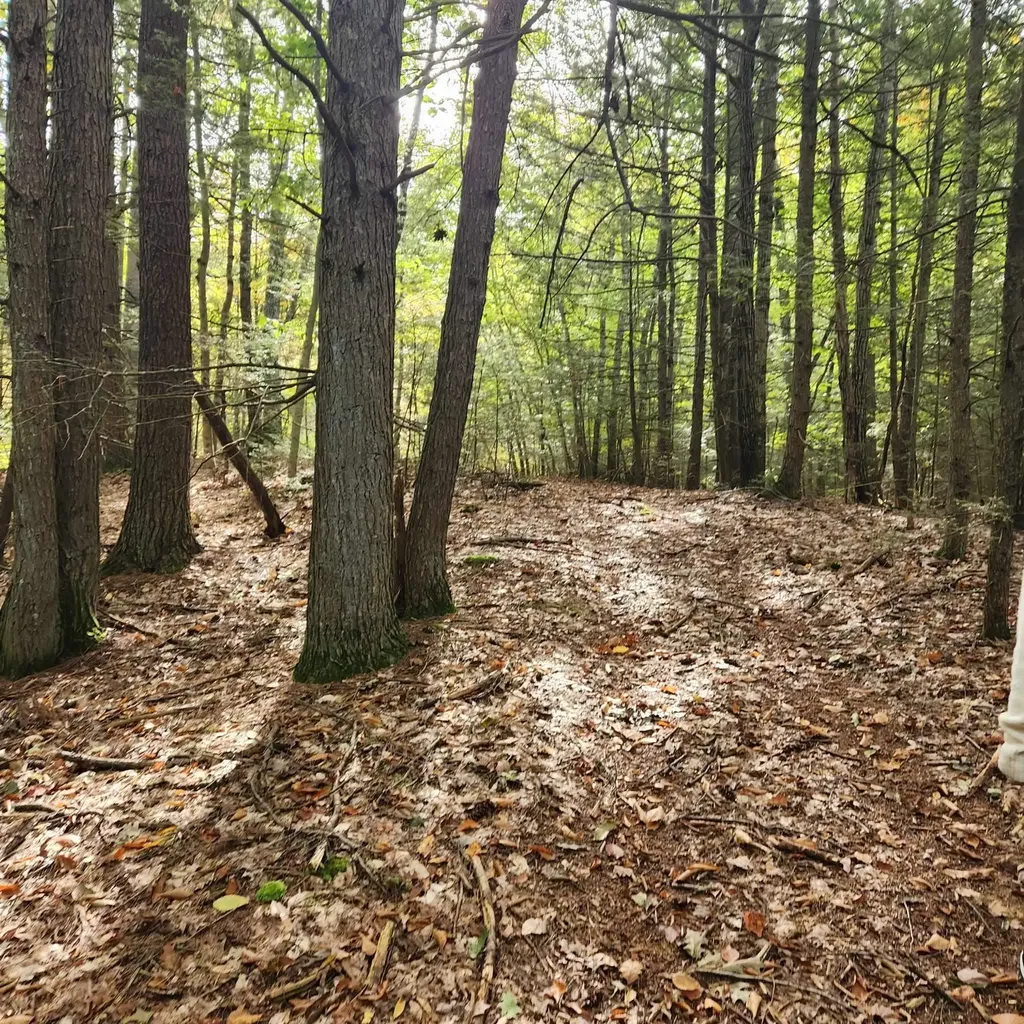 M20 L45 Green Road Raymond NH 03077