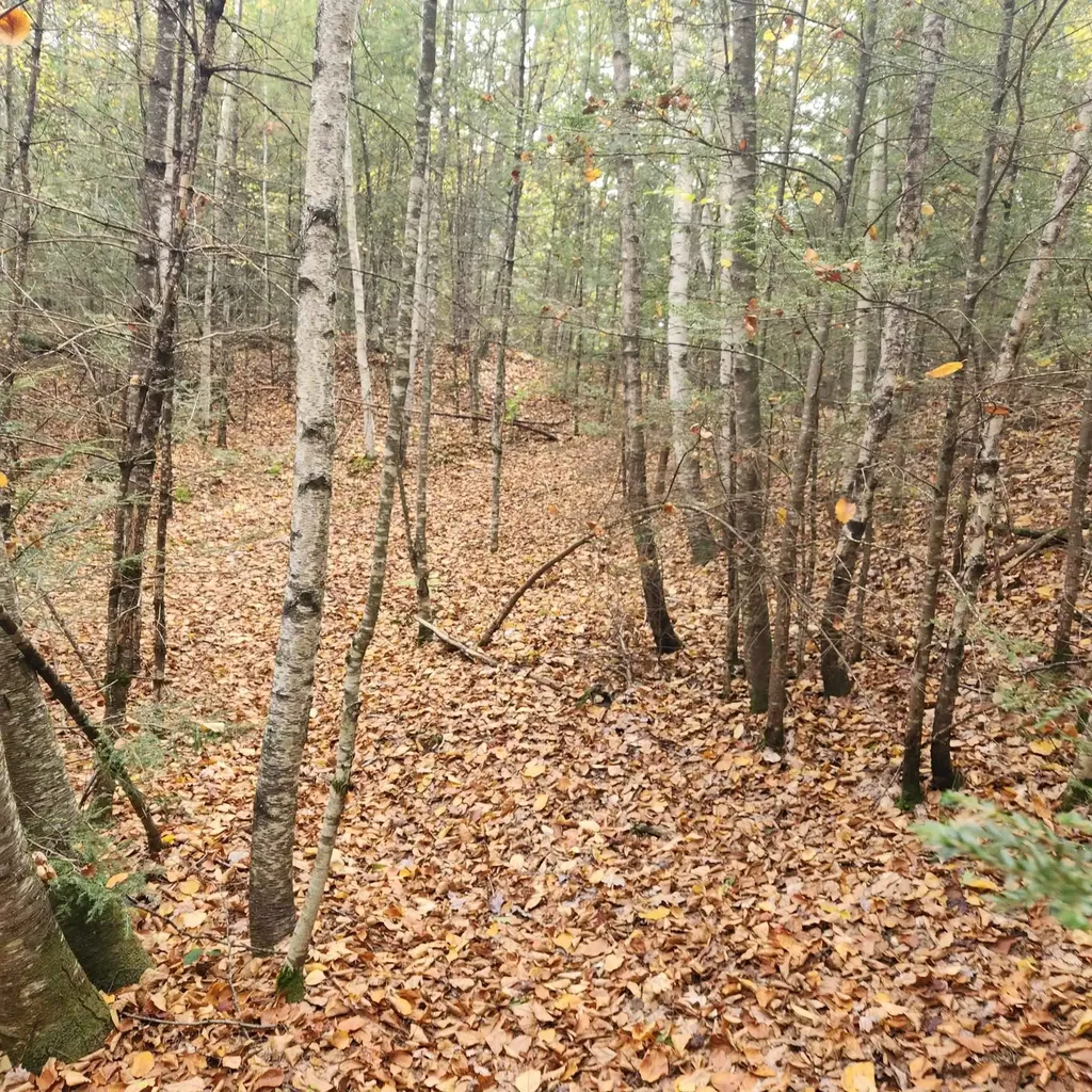 M20 L45 Green Road Raymond NH 03077