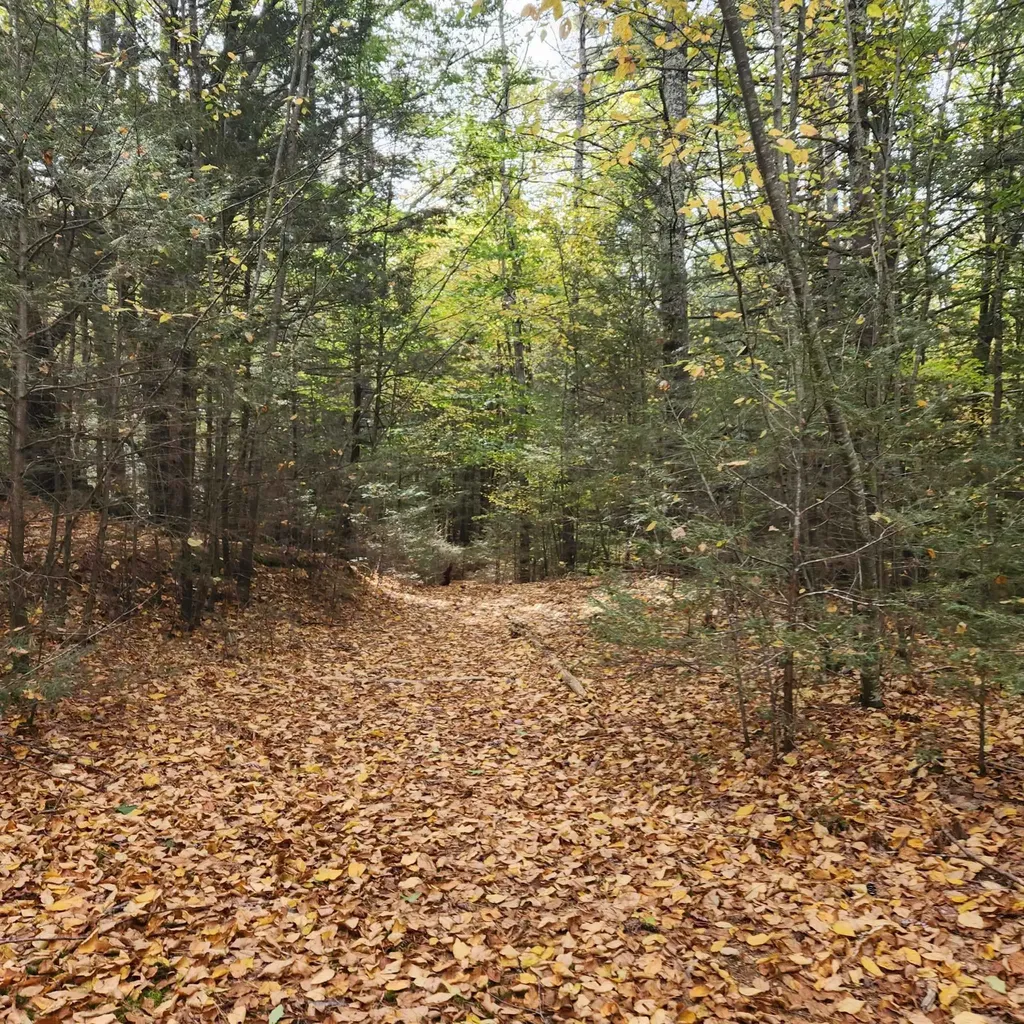 M20 L45 Green Road Raymond NH 03077