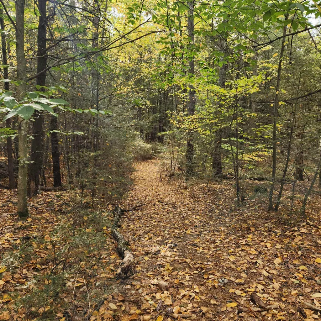 M20 L45 Green Road Raymond NH 03077