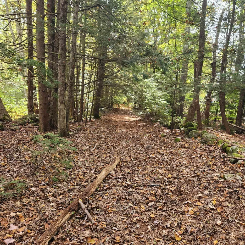 M20 L45 Green Road Raymond NH 03077