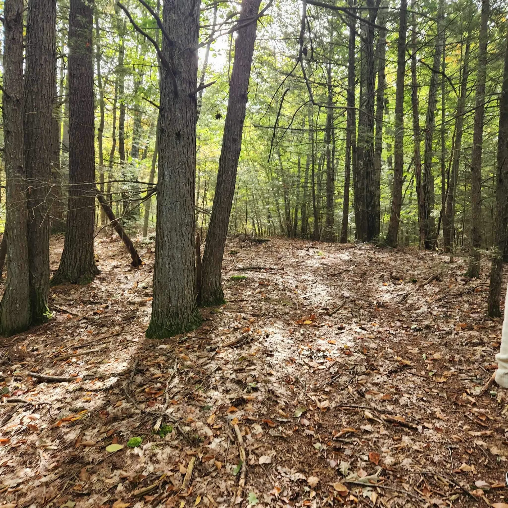 M20 L45 Green Road Raymond NH 03077