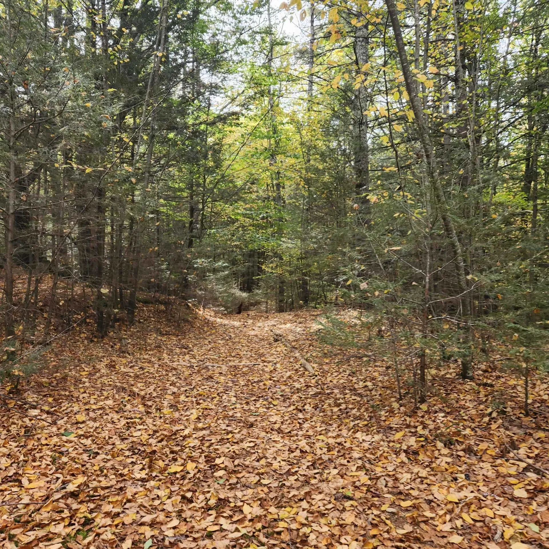 M20 L45 Green Road Raymond NH 03077