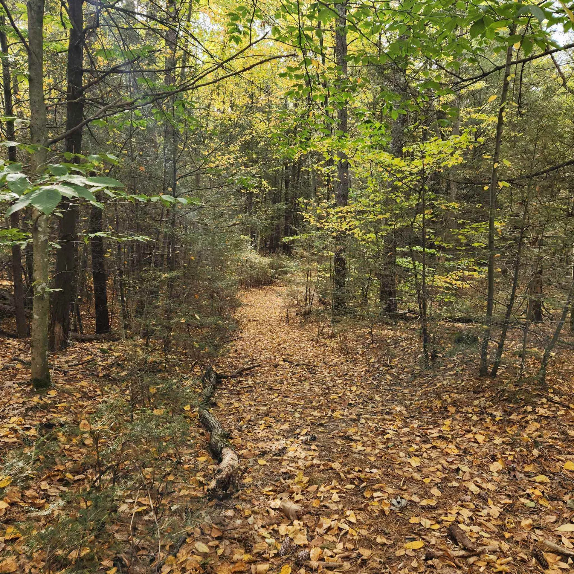 M20 L45 Green Road Raymond NH 03077