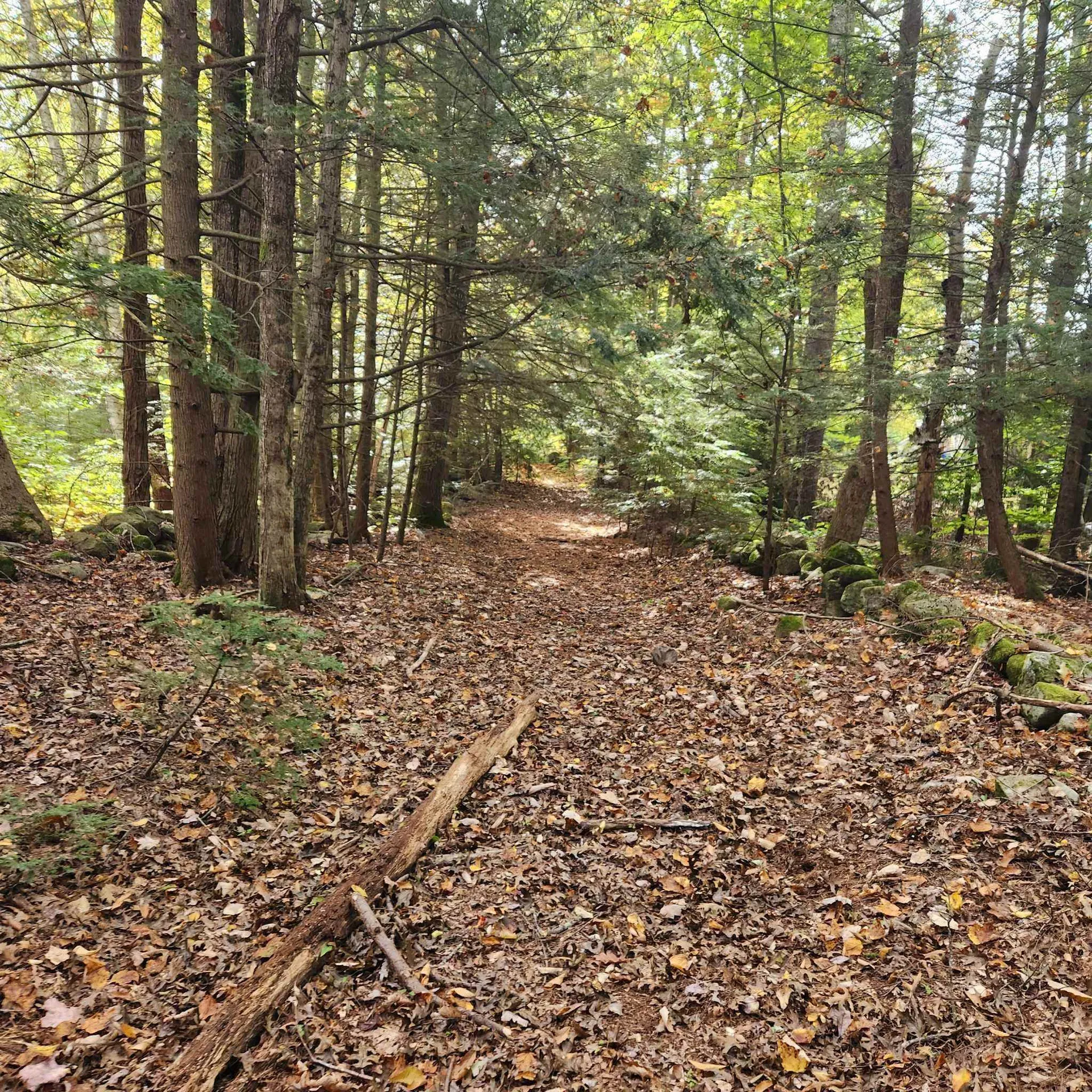 M20 L45 Green Road Raymond NH 03077