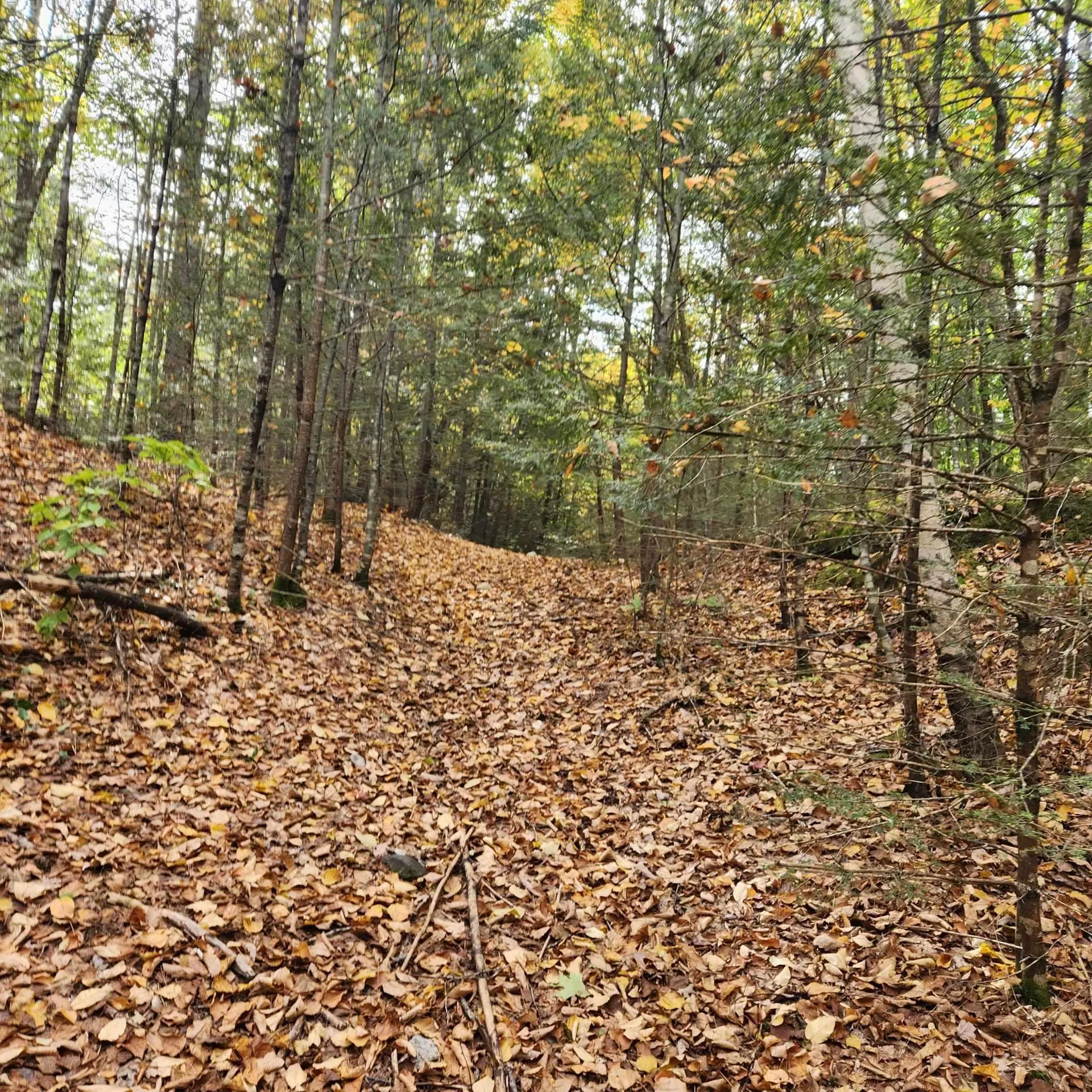 M20 L45 Green Road Raymond NH 03077