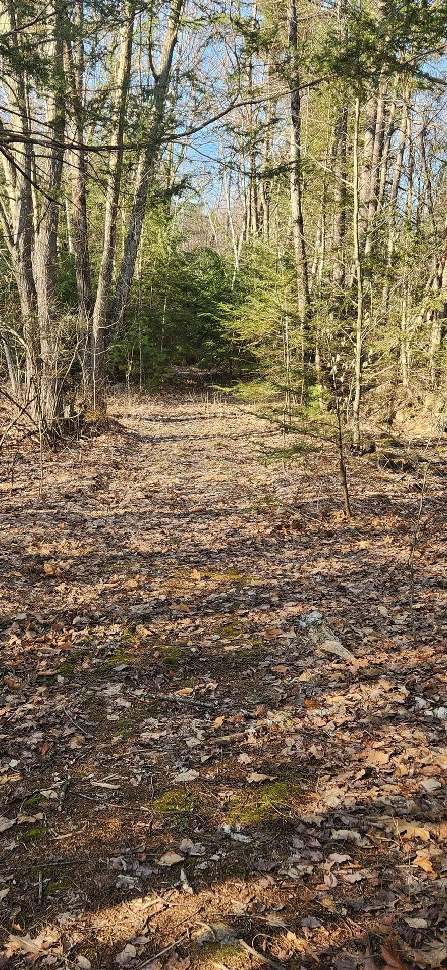 M20 L45 Green Road Raymond NH 03077