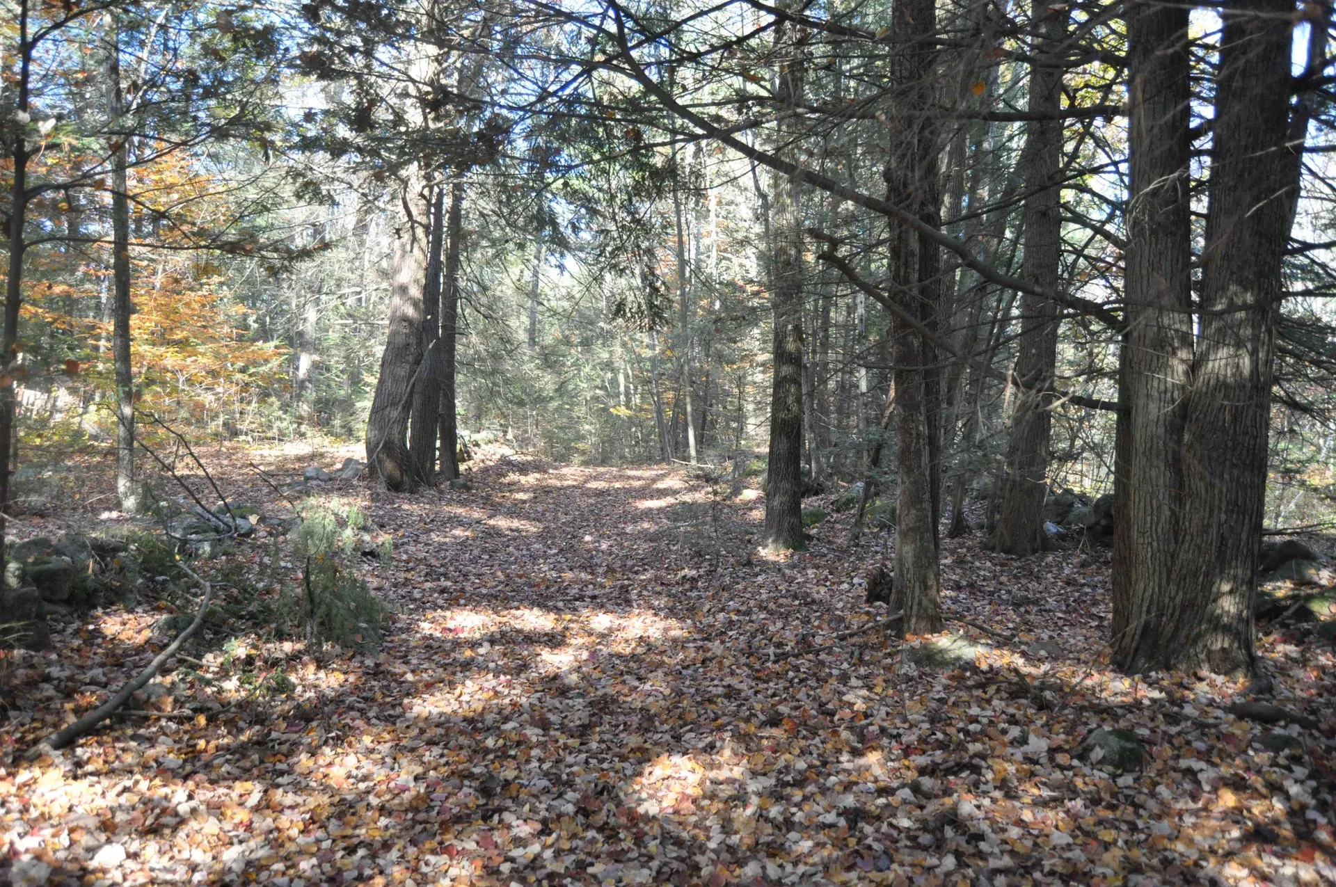 M20 L45 Green Road Raymond NH 03077