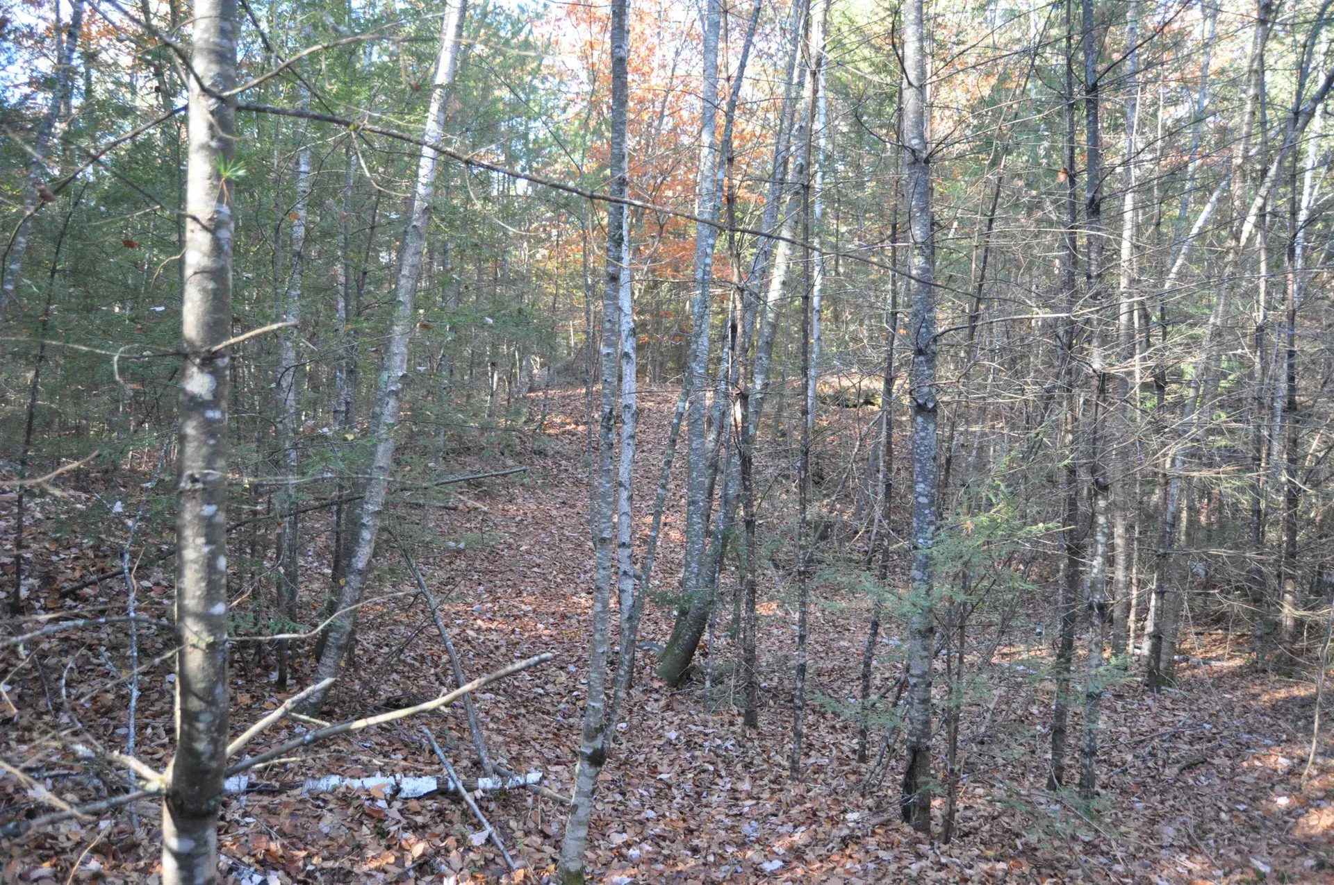 M20 L45 Green Road Raymond NH 03077