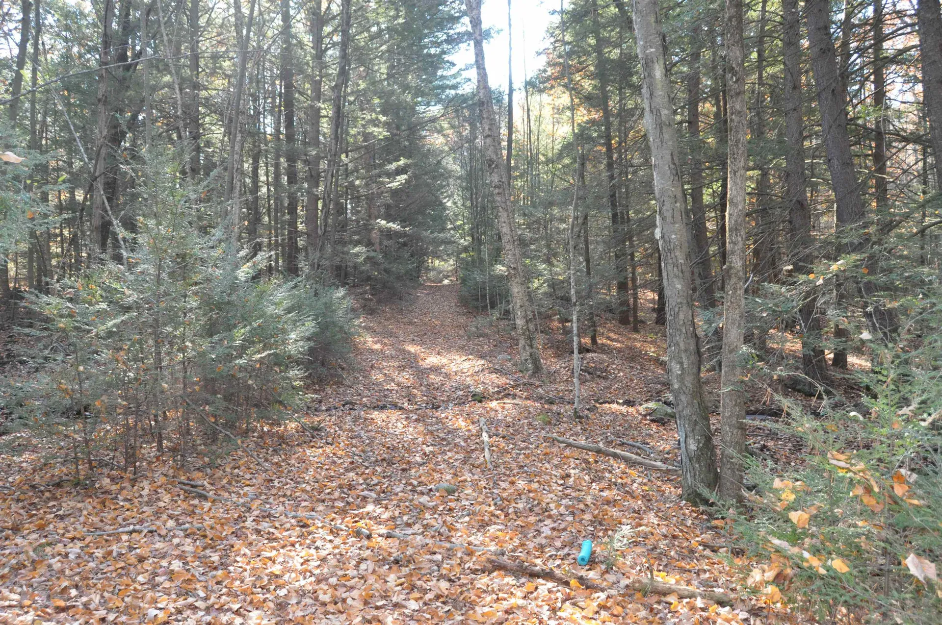 M20 L45 Green Road Raymond NH 03077