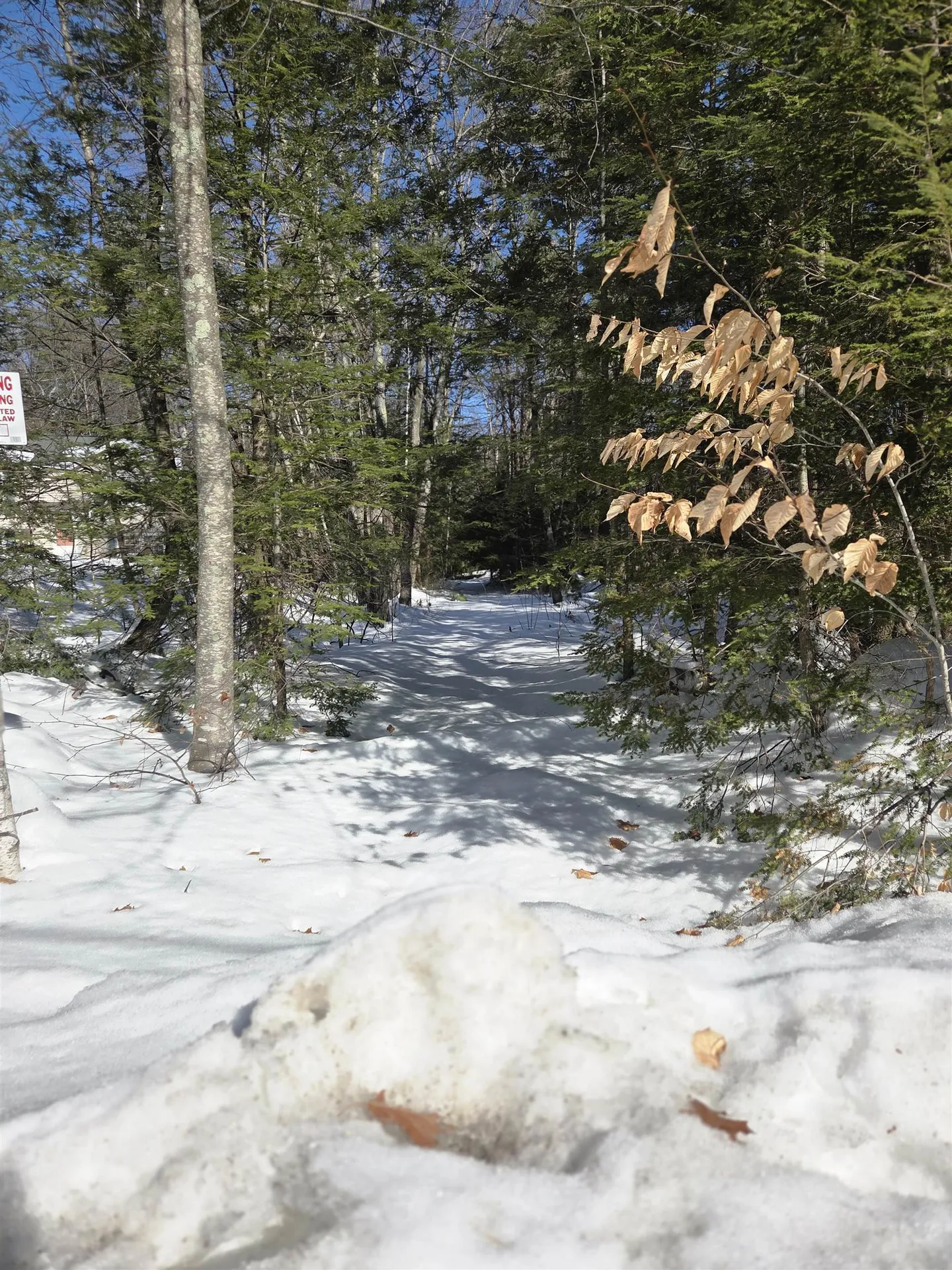 M20 L45 Green Road Raymond NH 03077