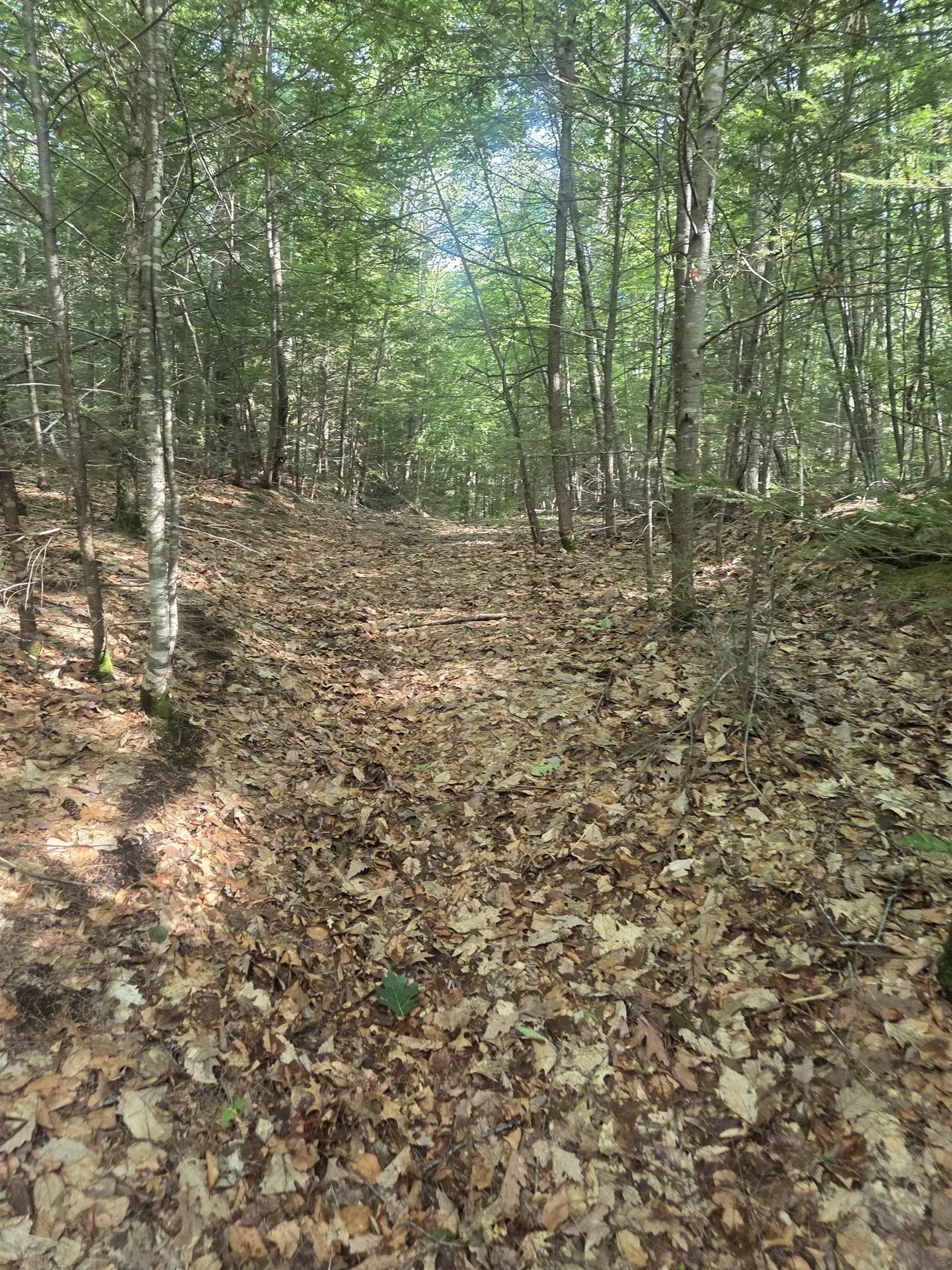 M20 L45 Green Road Raymond NH 03077