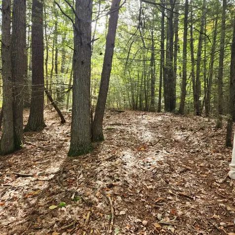 M20 L45 Green Road Raymond NH 03077