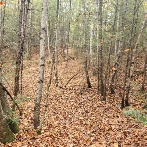 M20 L45 Green Road Raymond NH 03077