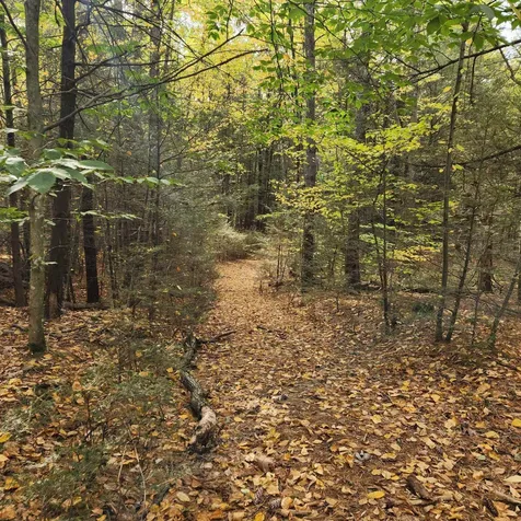 M20 L45 Green Road Raymond NH 03077