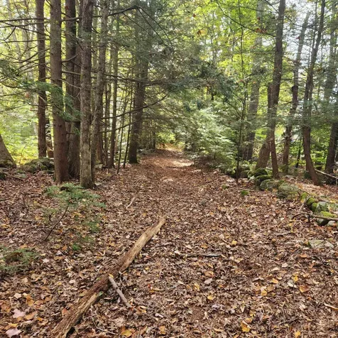 M20 L45 Green Road Raymond NH 03077