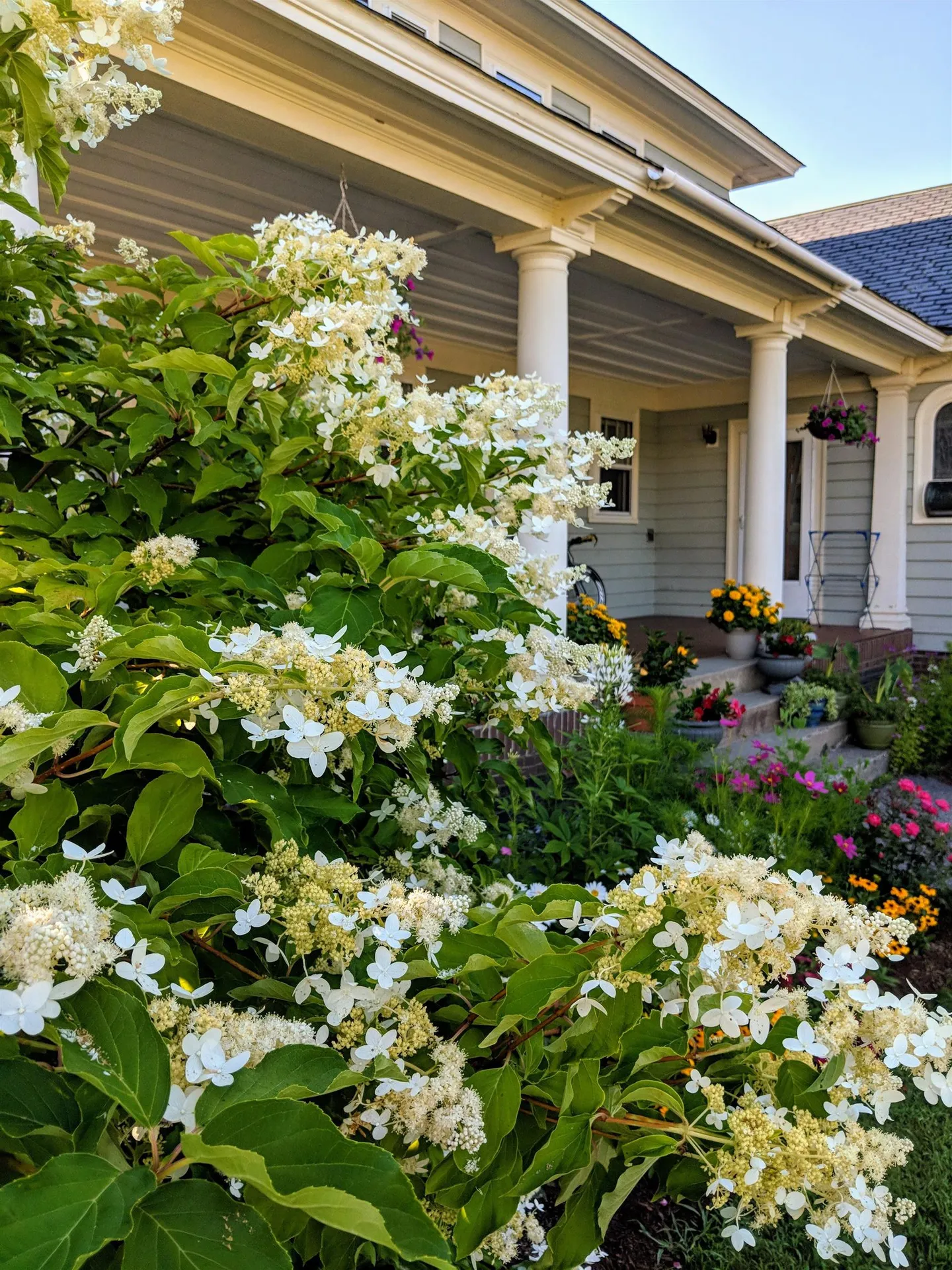 93 Chosen Vale Lane Enfield NH 03748