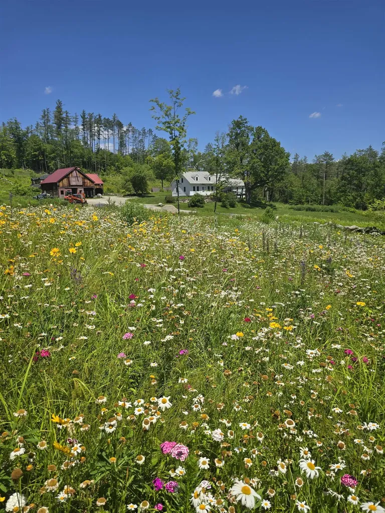 4669 Vermont Route 100 Londonderry VT 05148