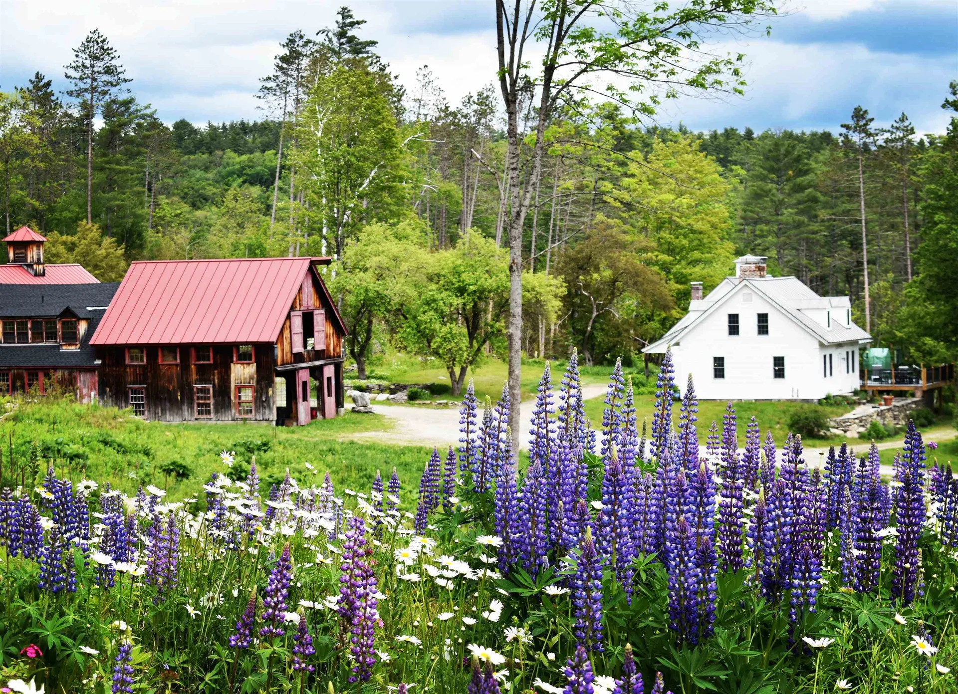 4669 Vermont Route 100 Londonderry VT 05148