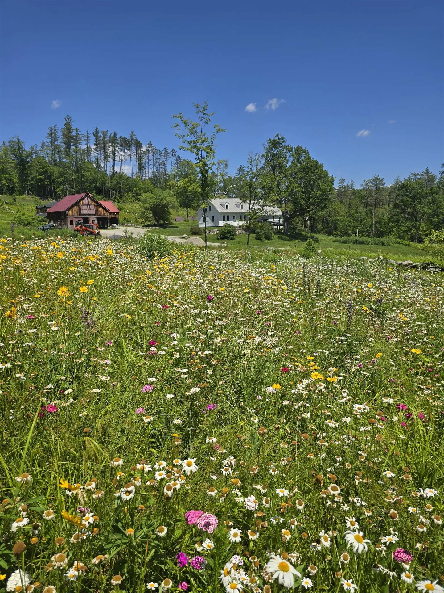 4669 Vermont Route 100 Londonderry VT 05148