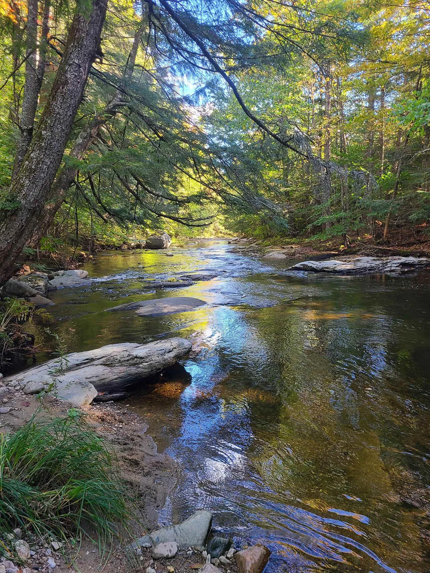 4669 Vermont Route 100 Londonderry VT 05148