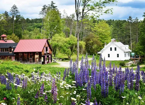 4669 Vermont Route 100 Londonderry VT 05148