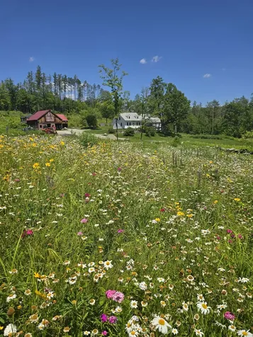 4669 Vermont Route 100 Londonderry VT 05148