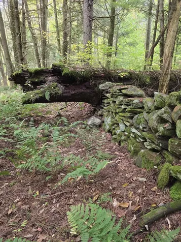 4669 Vermont Route 100 Londonderry VT 05148