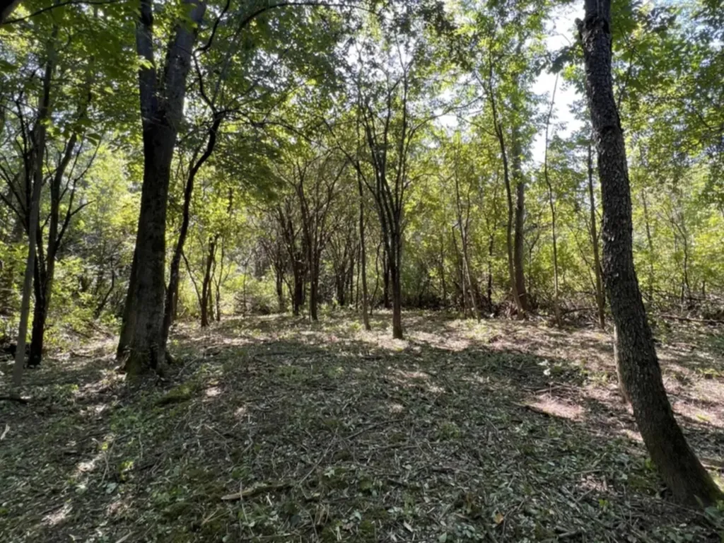 0 Hemenway Road Bridport VT 05753