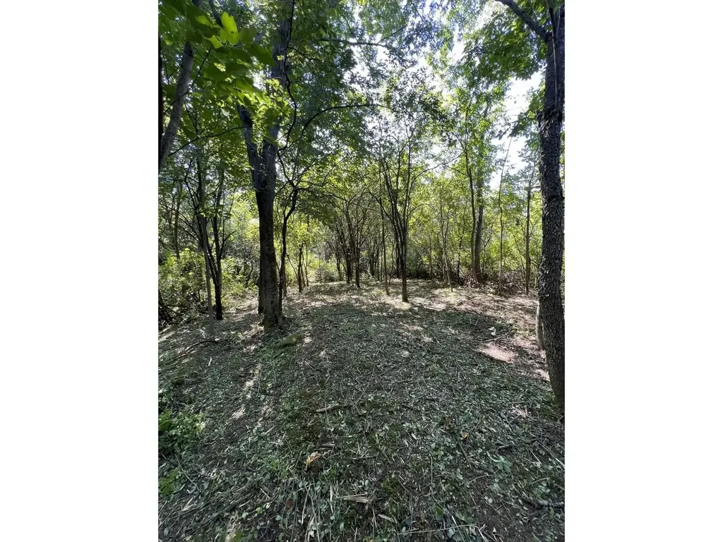 0 Hemenway Road Bridport VT 05753