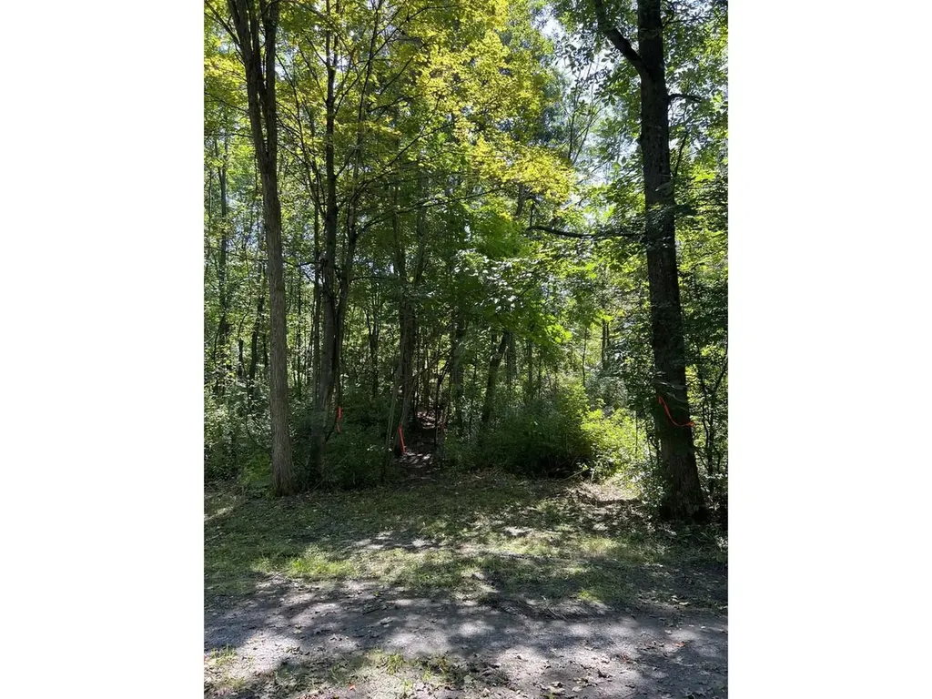 0 Hemenway Road Bridport VT 05753