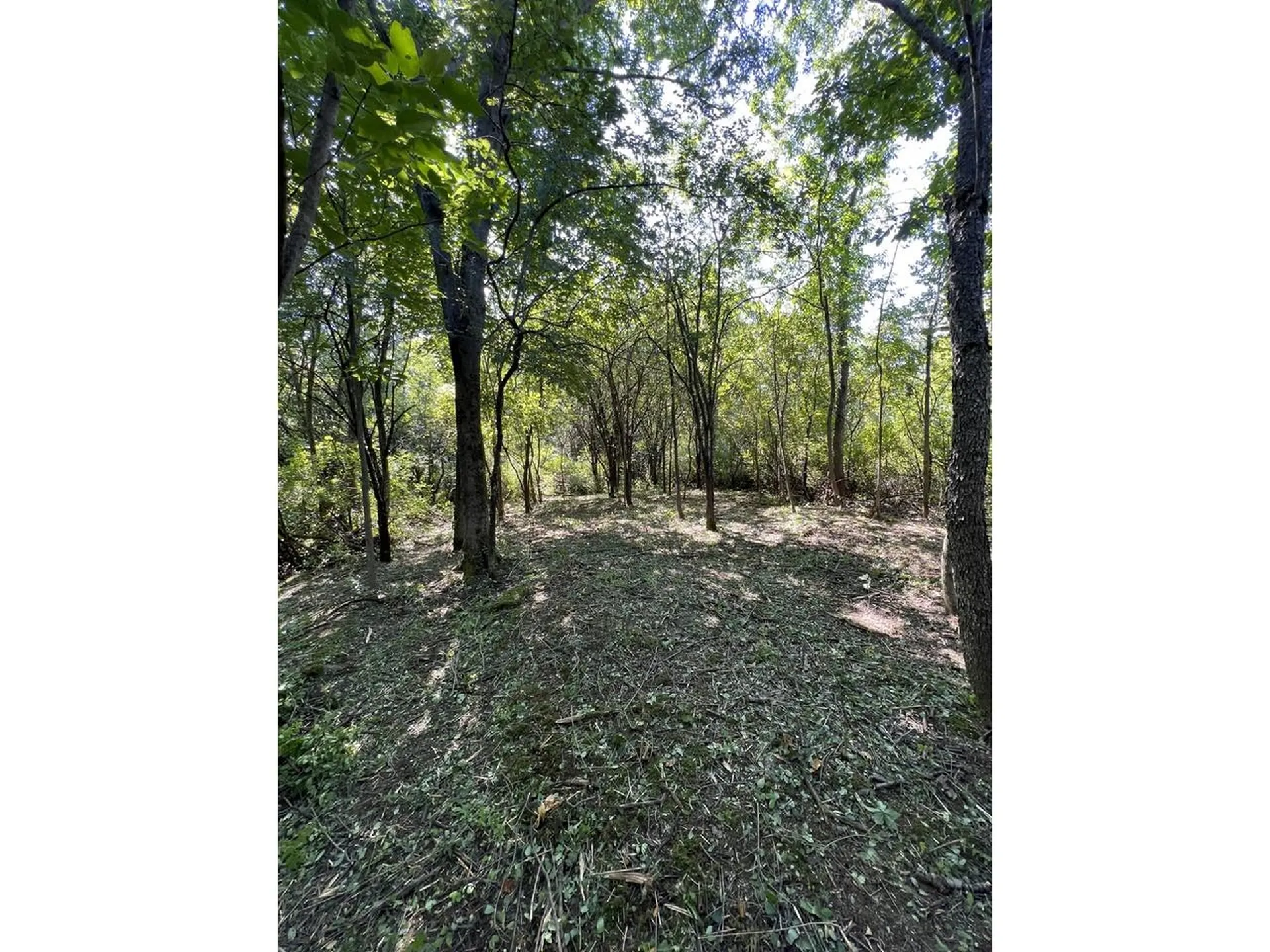 0 Hemenway Road Bridport VT 05753