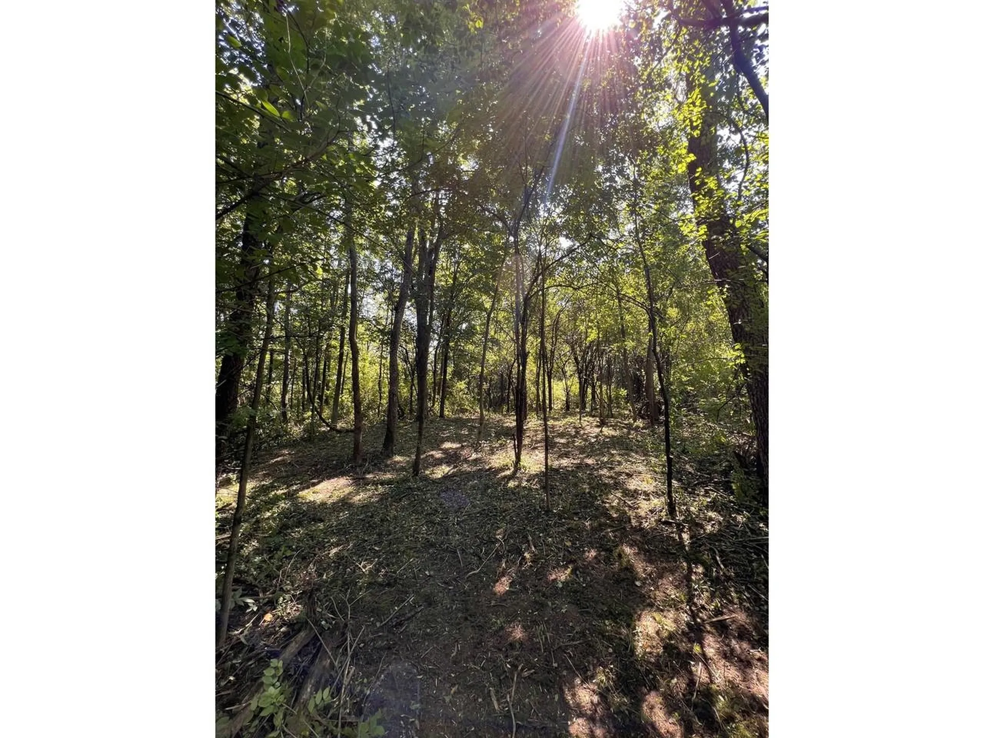 0 Hemenway Road Bridport VT 05753