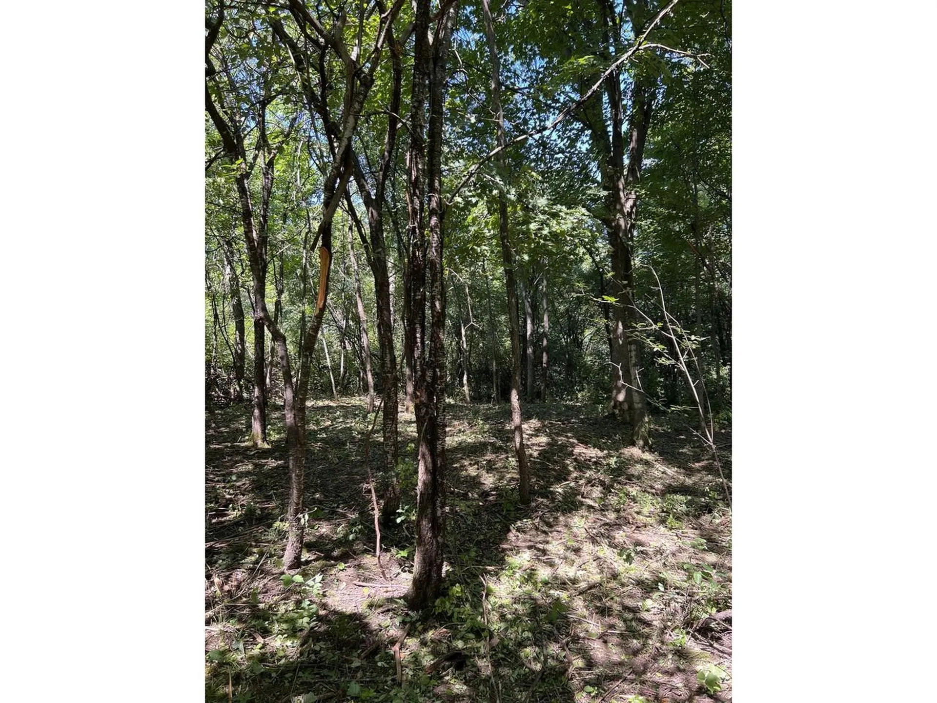 0 Hemenway Road Bridport VT 05753