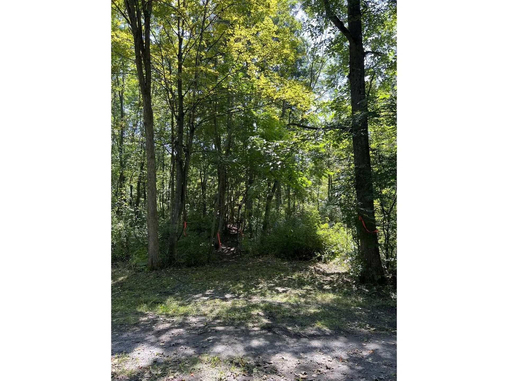 0 Hemenway Road Bridport VT 05753