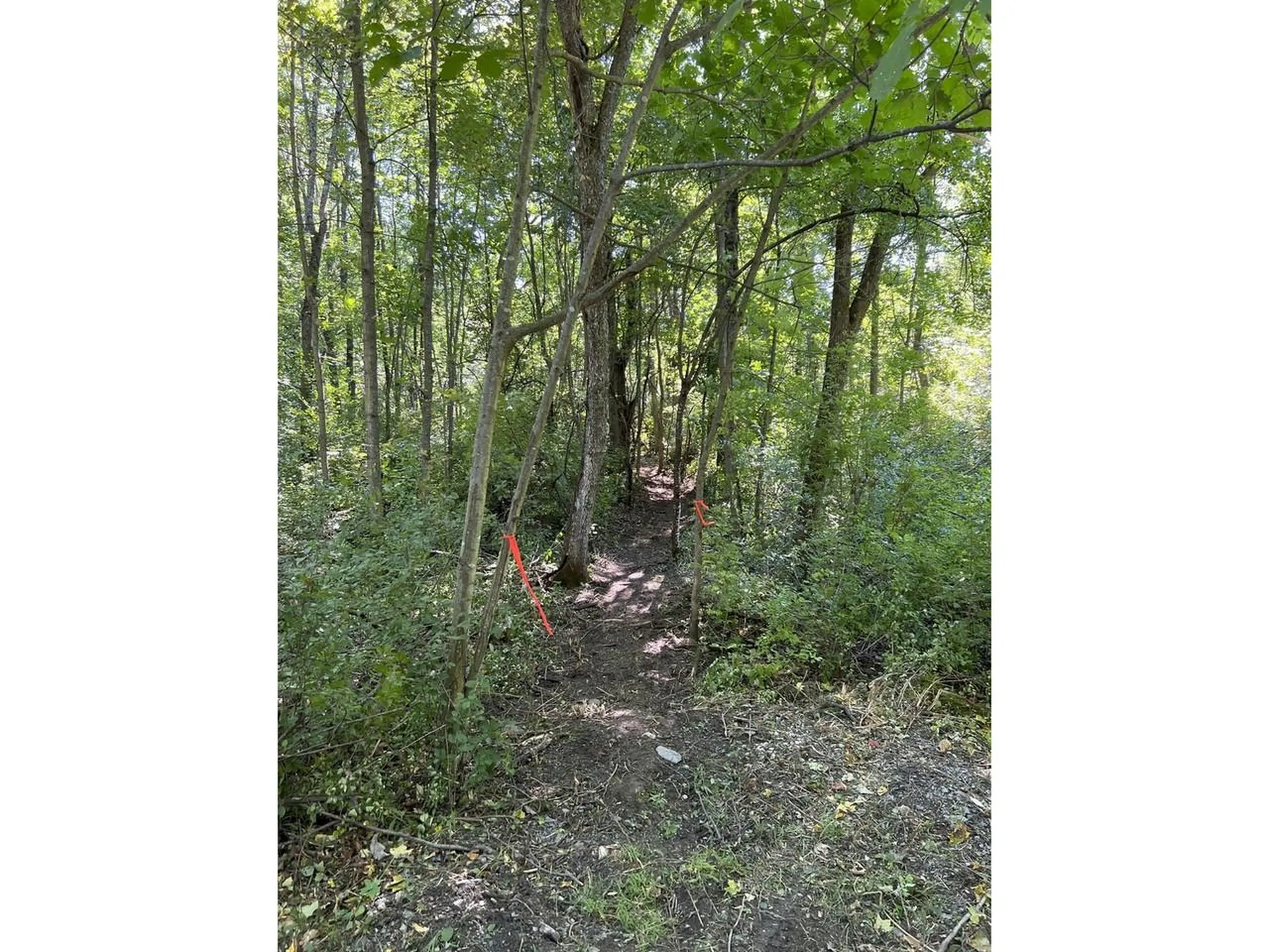 0 Hemenway Road Bridport VT 05753