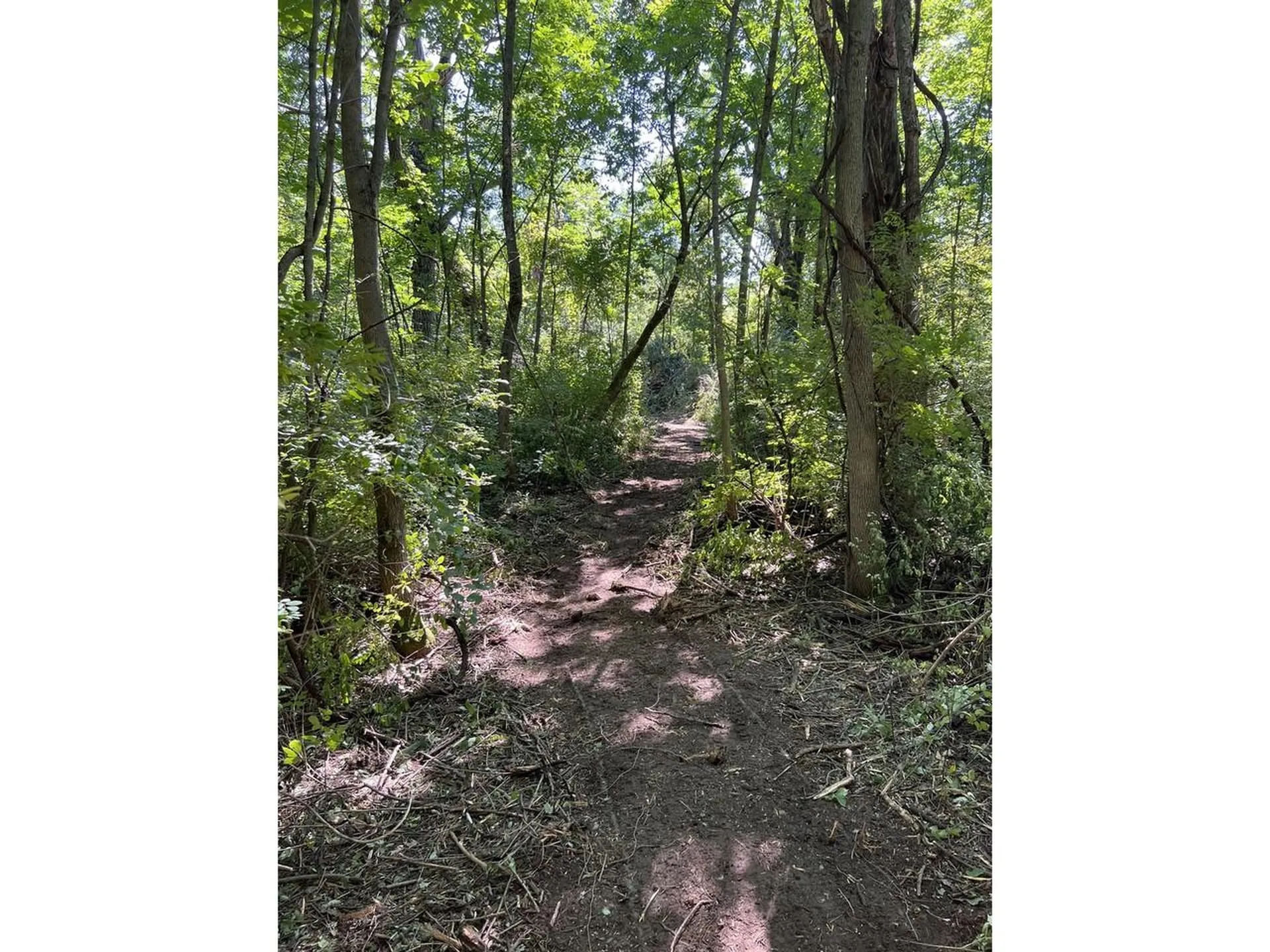 0 Hemenway Road Bridport VT 05753