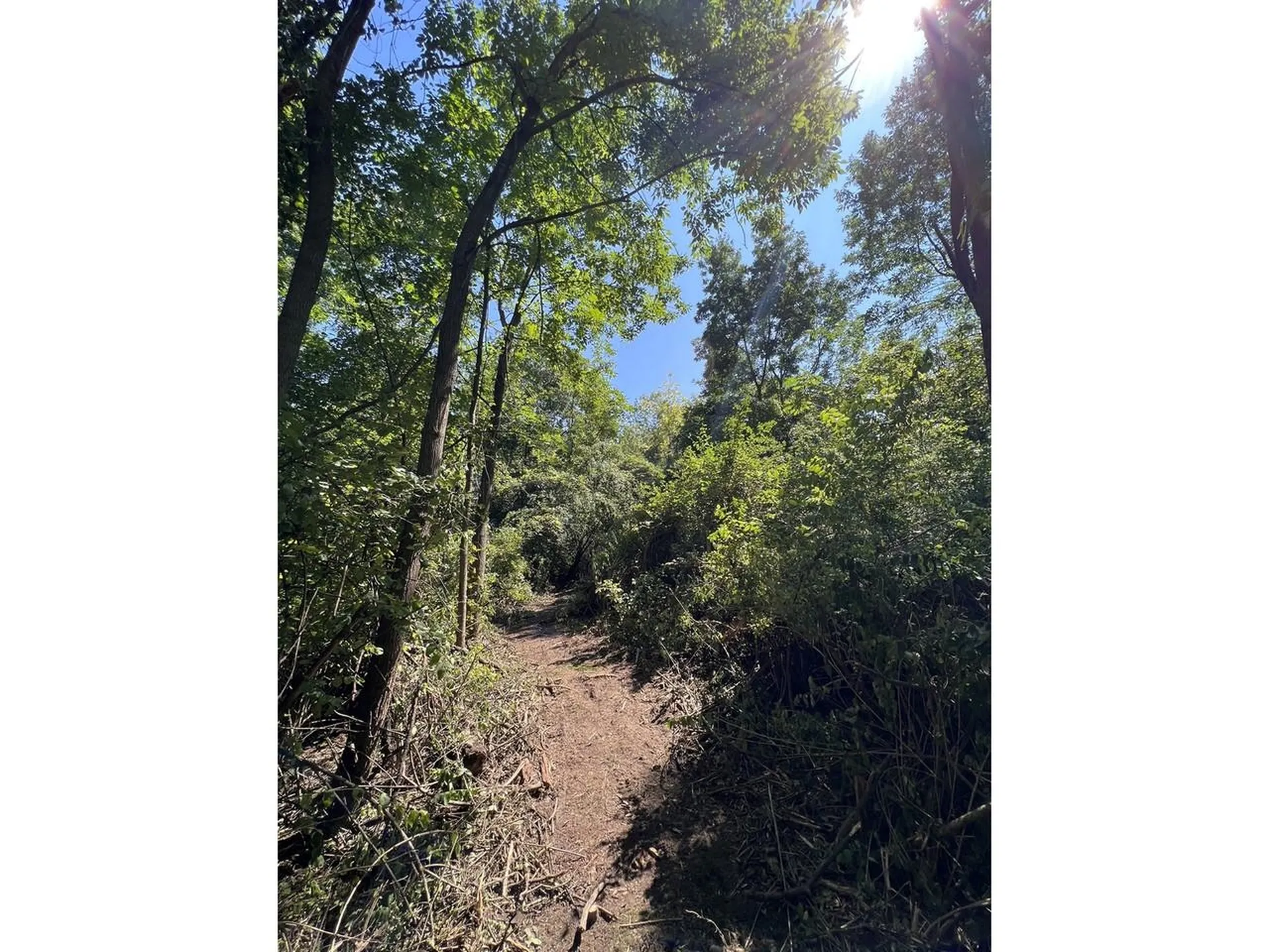 0 Hemenway Road Bridport VT 05753