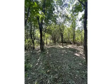 0 Hemenway Road Bridport VT 05753