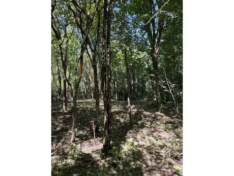 0 Hemenway Road Bridport VT 05753