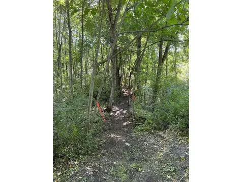 0 Hemenway Road Bridport VT 05753