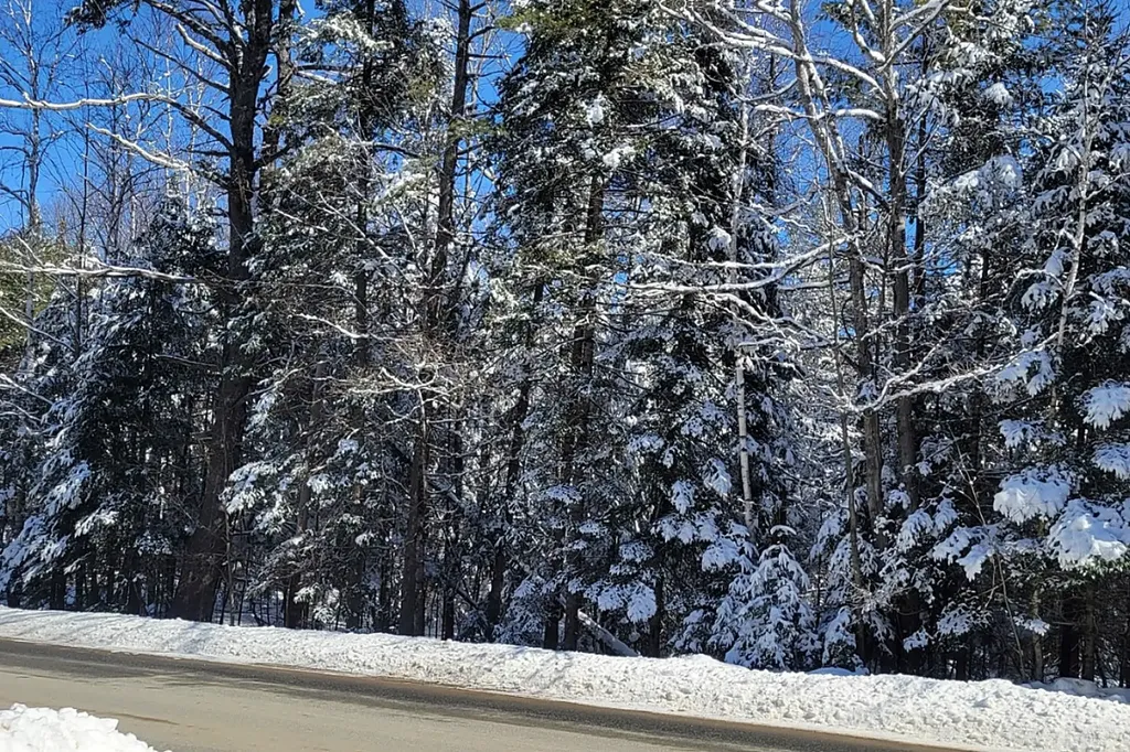 000 French Pond Road Haverhill NH 03765